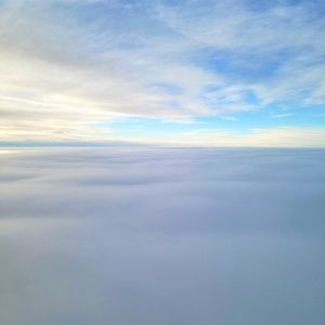 Meet your Posher, Janique